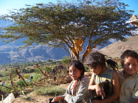 La Escuela de Guías Don Bosco en los Andes